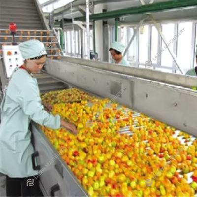 China High Quality Apricot Peach Peach Plum Fruit Juice Concentrate Peach Plum Processing Line Processing Line for sale