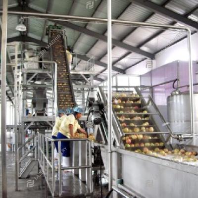 China Energy Saving Peach Apricot Peach Apricot Plum Processing Line Juice Machine Fruit Juice Jam Concentrate Production Line for sale