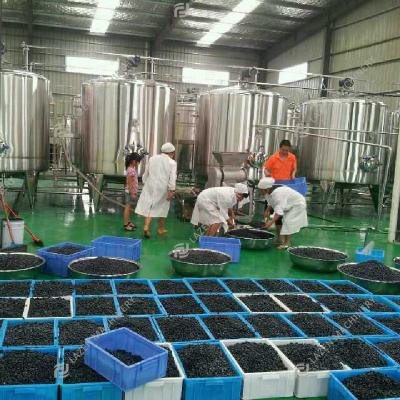 China High quality processing line berry juice berry jam making factory for sale