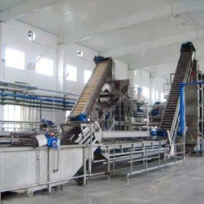 China Banana Processing Line High Quality Banana Pulp Puree Banana Plant Processing Line for sale