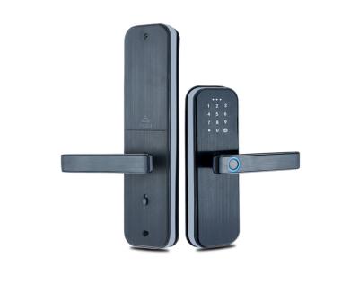 China Home Hotel Apartments Office High Security TT BLE Mobile Control With Fingerprint Password Card Open Digital Door Lock for sale