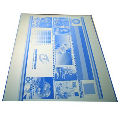 China POSITIVE Double Layers PCT Environmental Friendly Thermal Positive Plate for sale