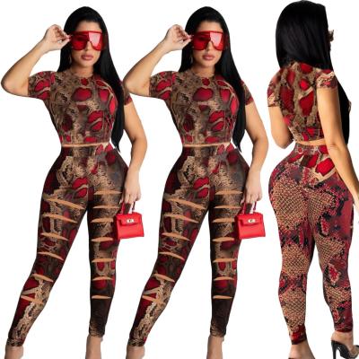 China Breathable 10301-SW70 Ripped Design 2 Piece Snake Printed Overalls Women Sehe Fashion for sale