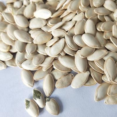 China Nourishing Pumpkin Seeds/Good Fresh For People's Health Pumpkin Seeds/Organic Pumpkin Seeds Pumpkin Kernels Seeds for sale