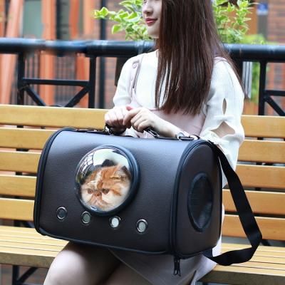 China Viable Cute Dog Cat Tote Bag For Cat Pet Cartoon Astronaut Space Transparent Bubble Capsule Travel Pet Carrier Handbag for sale