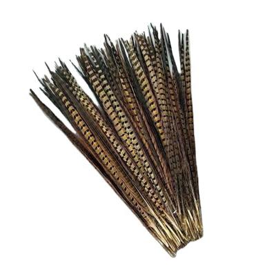 China Hot Sale Peacock Feather Carnival Feather 30-35cm Chiefs Pheasant Tail Feathers for sale