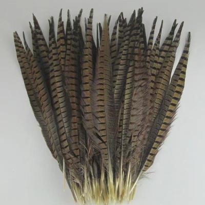 China Hot Sale Party Carnival Feather 45-50cm Chiefs Pheasant Tail Feathers for sale