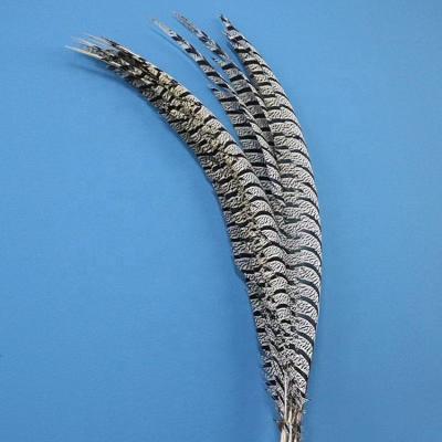 China Cheap Natural Cranival Feather 80-90cm Amherst Pheasant Tail Feather For Costumes for sale