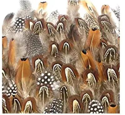 China Feather Mask Assorted Assorted Chicken Feathers For Different Crafts Birthday Fordin Opens Birthday Parties And Party Dress-UPS for sale