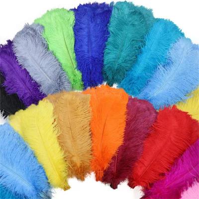 China Artificial Plant 60--65cm Wholesale Decor Natural Feather Ostrich Feathers Cheap To Wedding Decoration Colorful Feathers for sale