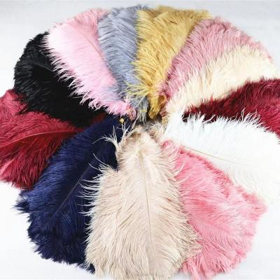 China Artificial Plant 65--70cm Wholesale Decor Natural Feather Ostrich Feathers Cheap To Wedding Decoration Colorful Feathers for sale