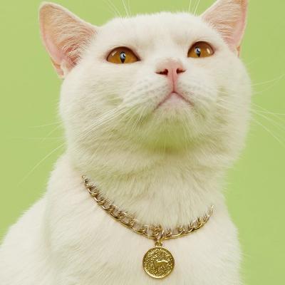 China Stocked Tureda Dog Necklace Accessories Small Dogs Brand Pet Collar Large Gold Chain Pearl Chain Cat Jewelry Pet Accessories for sale