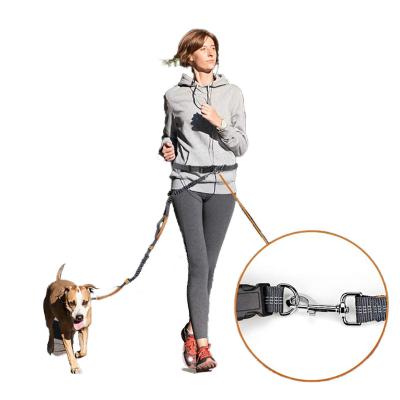 China Stocked Tureda Wholesale Pet Leashes Hands Free Elastic Dog Running Belt Bungee Rope Leashes Reflective Jop Dogs Training Dog Leash for sale