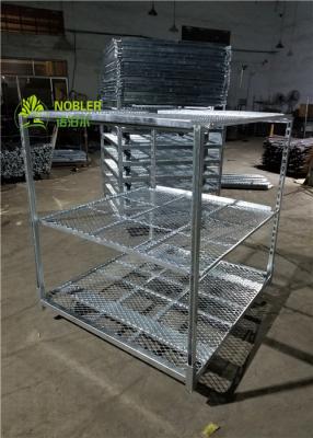 China Greenhouse Plant Trolleys Japan Garden Center Welded Wire Flower Racks Cart for sale