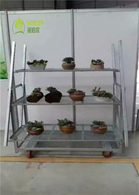 China Garden Center Dutch Flower Trolley / Flower Display Trolley Racks 1350*565*1900 mm for sale