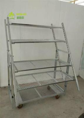 China Display Flower Trolley CC Racks Garden Cart , Flower Display Trolley for sale