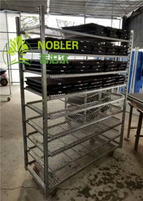 China Dutch Flower Display Trolley for sale