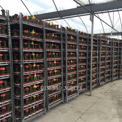 China Multi Layer Shelf Greenhouse Transport Danish Plant Trolley for sale