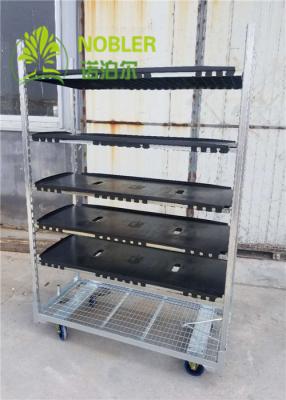 China Multi Shelf CC Garden Nursery Transport Dutch Floats for sale