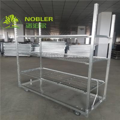 China Wire Shelf Grow Seedling CC Racks for sale