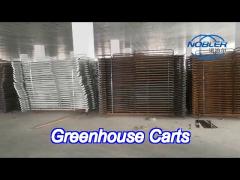 Hot Galvanized Plywood Greenhouse Flower Carts Customized Trolley For Transport