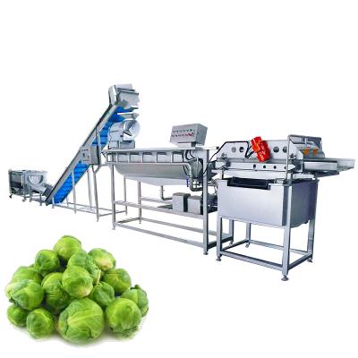 China Hotels Frozen Vegetable Pea Quick Freezing Processing Equipment China Production Line for sale