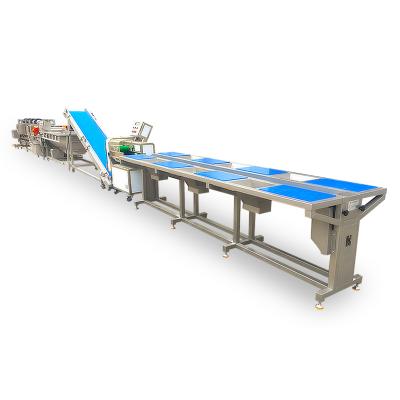 China Hotels Factory Supply Bubble Seal Machine for Salad Fruits and Leafy Vegetables Processing Production Line for sale