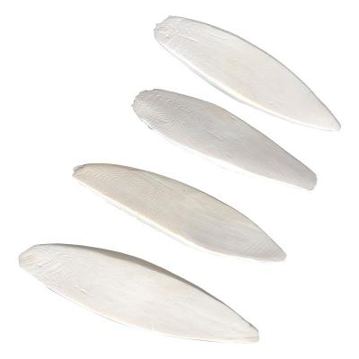 China Viable DRY WASHED CUTTLEBONE, COOL CUTTLEBONE BIRD TOY for sale