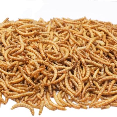 China Viable all of nature's non-GMO dried mealworms for reptile, turtle, amphibian, lizard, wild birds, chickens, ducks etc. for sale