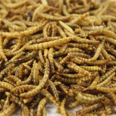 China Sustainable Dried Pet Food Plant Bird Food Mealworm for sale