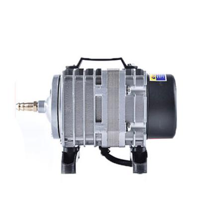 China Low Consumption New Style Domestic Garden Rate Electric Water Pump Motor For Home for sale