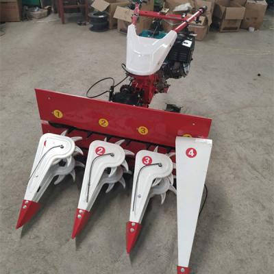 China Potato Wheat and Rice Reaper Machine Price for sale