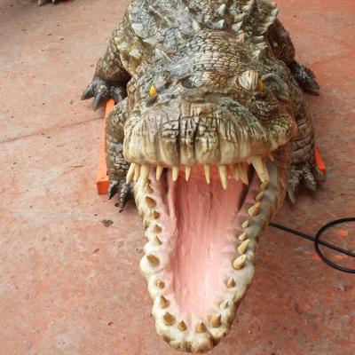 China Museum Dino World Life Size Animatronic Alligator Realistic Animatronic Animals for sale