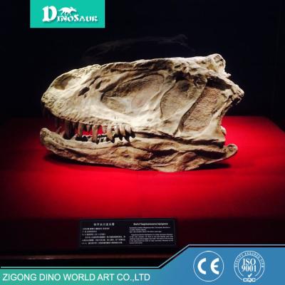 China Dino World Resin Dinosaur Bone Museum For Sale Life Size Dinosaur Skeleton for sale