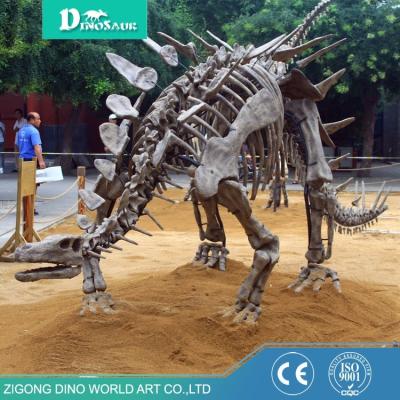 China Museum Good Quality Skeleton Dinosaur Fossil Replica  Life Size Dinosaur Skeleton for sale