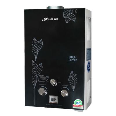 China Hotel hotsale 10L 12L tankless gas battery operated water heater for sale