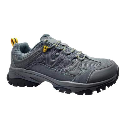 China Cushioning Made In China Top Quality Multi-size Selection Men Sport Sports Shoes for sale