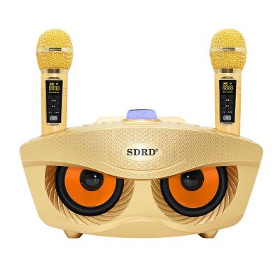 China ForSD306 Wireless Plus 2 in 1 Dual BT Portable Speaker Radio Karaoke Microphone Owl Speaker 30W High Power Subwoofer Speaker for sale