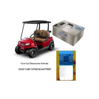 China Golf Carts Vendor 2021 Gold BLUE SHIP Remote Control OEM 48 Volt Lithium Ion Golf Cart Battery 50Ah-1000Ah for sale