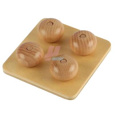 China LT048 Wood Montessori Kids Educational Wooden Toy Ellipsoids On Small Pegs for sale