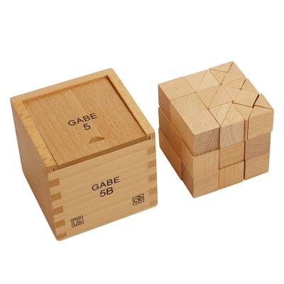 China Montessori NOO6 Wooden Materials Froebel Educational Toys Gabe 5B for sale