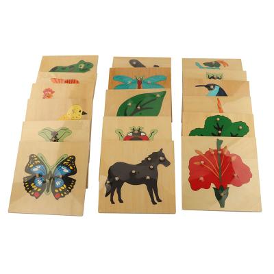 China Wooden Montessori Materials Kids Wooden Educational Children Toy Puzzles Set Montessori Toys for sale