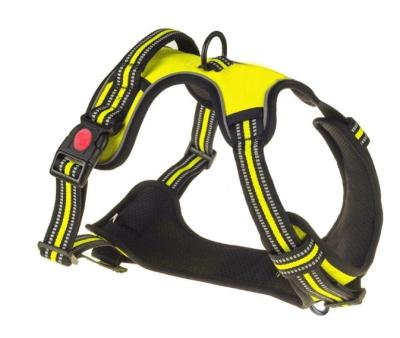 China Stored Outdoor Adjustable Dog Chest Training Strap Pour Pet Harness for sale