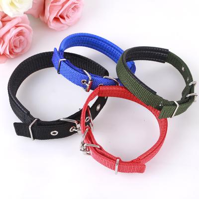 China Lights Wholesale Adjustable Comfortable Foam Metal Buckle Single Nylon Dog Collar For Dog Cat Puppies for sale