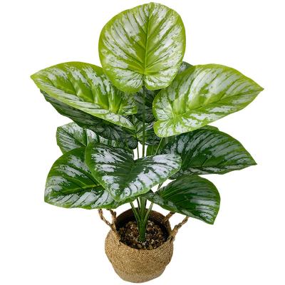 China High quality artificial plastic tree plant artificial greenery softness decoration sweetness epipremnum aureum green plant office bonsai for sale