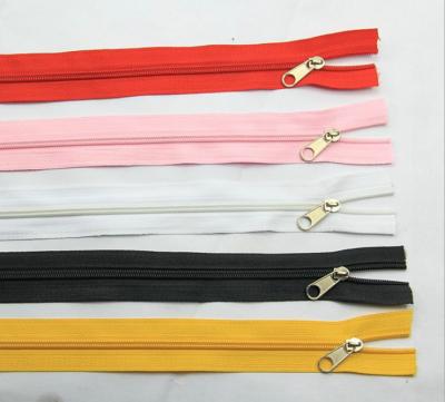 China China Eco-friendly Import Colorful In Rolls Clothing Garment Accessories 3# 5# Teeth Band Nylon Zipper Zipper for sale