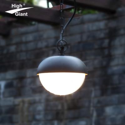 China Nordic High Quality Black Hanging Ceiling Light 40W Ceiling Mount Led Modern Garden Light for sale