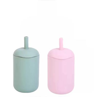 China Outdoor Travel Must-Have Leak-proof BPA-Free Children's Beverage Bottle with Straws for sale