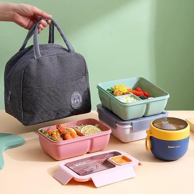 China 20*12*8cm Reusable Portable Plastic Bento Lunch Box for Kids School Plastic Material for sale