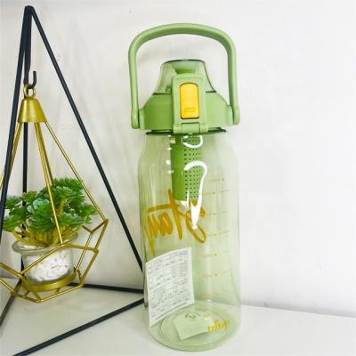 Chine Bouteille d'eau pour infusion de fruits de voyage 1000 ml Tritan Sports Sac à thé en plastique Bouteille d'infusion à vendre